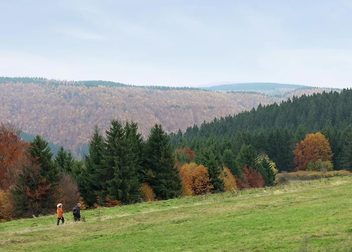 Stunning Apartment in Frauenwald near the Forest