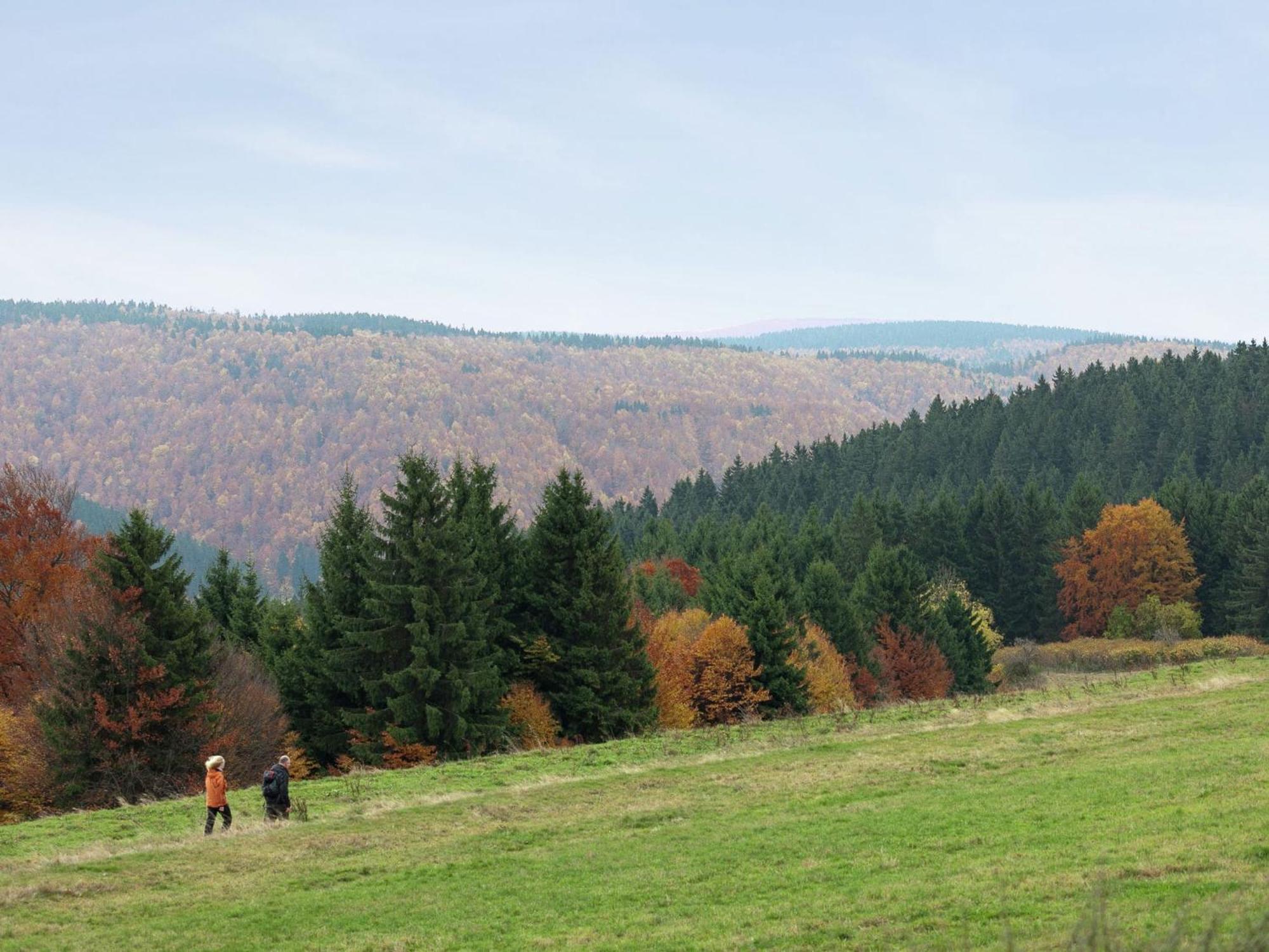Apartment Near The Forest Frauenwald