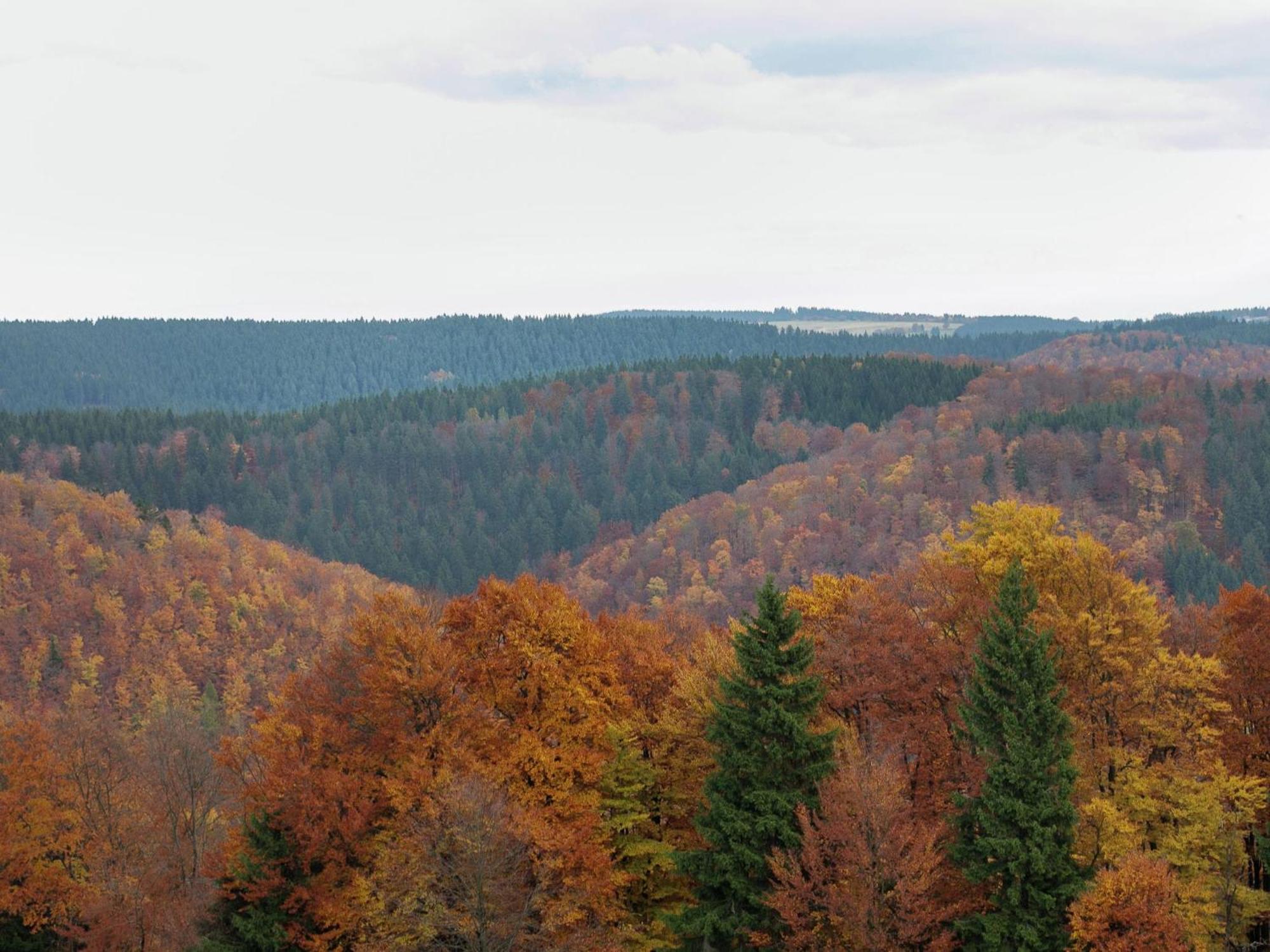 Apartment Near The Forest Frauenwald