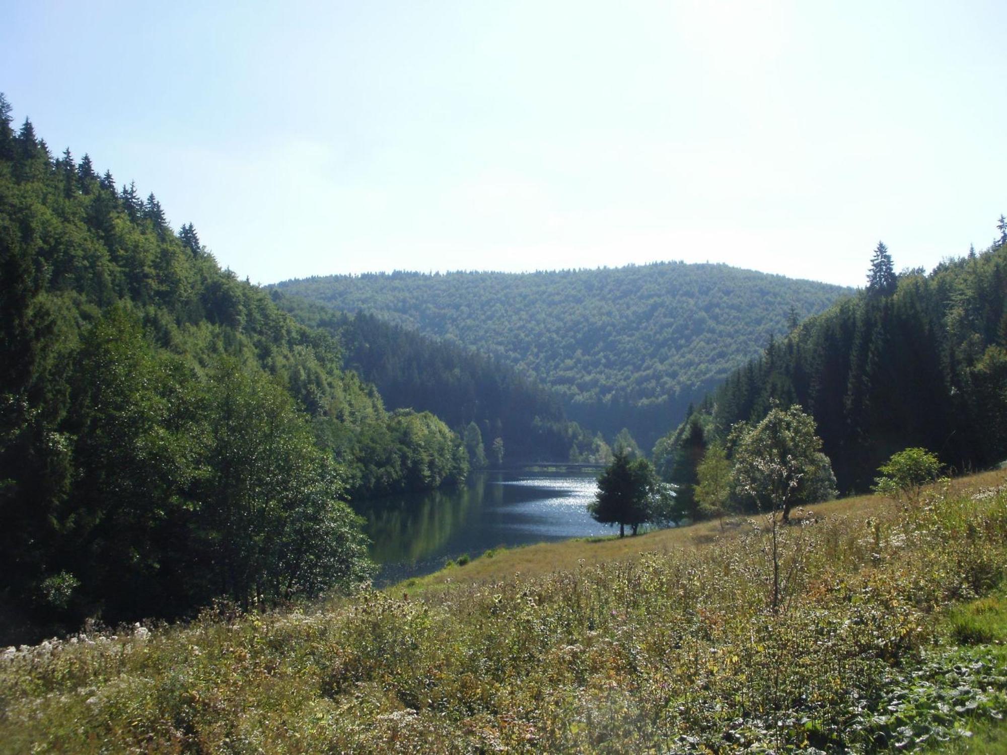 Apartment Apartment Near The Forest Frauenwald